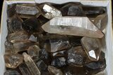 Lot: Lbs Smoky Quartz Crystals (-) - Brazil #77828-1